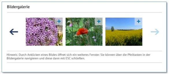 Bildschirmfoto Bildergalerie